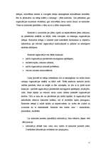 Referāts 'Uzņēmuma vadības projekts', 15.