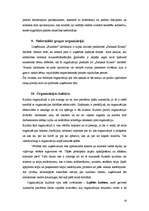 Referāts 'Uzņēmuma vadības projekts', 18.