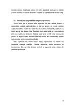 Referāts 'Uzņēmuma vadības projekts', 19.