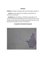 Konspekts 'Latvija jaunajos laikos', 9.