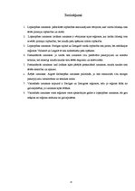 Referāts 'Saimniecību izmaksu analīze 2005. - 2007.gadā', 19.