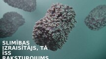 Prezentācija 'Infekcijas slimības: Mēris (Yersinia pestis)', 2.