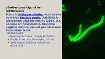 Prezentācija 'Infekcijas slimības: Mēris (Yersinia pestis)', 3.