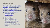 Prezentācija 'Infekcijas slimības: Mēris (Yersinia pestis)', 5.