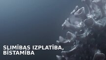Prezentācija 'Infekcijas slimības: Mēris (Yersinia pestis)', 8.