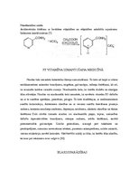 Konspekts 'PP vitamīns', 7.