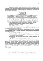 Diplomdarbs 'Personāla plānošana un organizēšana uzņēmējdarbībā', 24.