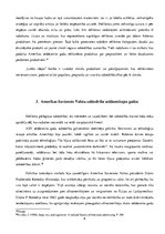 Referāts 'Sešdesmito gadu sievietes statusa maiņas ietekme uz amerikāņu reklāmām', 8.