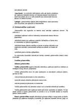 Referāts 'Grāmatvedības pamati', 6.