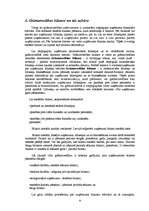 Referāts 'Grāmatvedības pamati', 8.