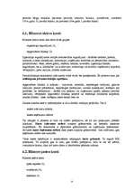 Referāts 'Grāmatvedības pamati', 9.