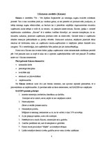 Referāts 'Biznesa vadības modeļi', 7.