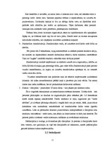 Referāts 'Biznesa vadības modeļi', 10.