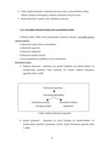 Prakses atskaite 'A/s "Latvijas Unibanka"', 25.