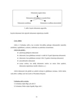 Prakses atskaite 'A/s "Latvijas Unibanka"', 26.