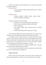 Prakses atskaite 'A/s "Latvijas Unibanka"', 32.