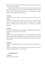 Prakses atskaite 'A/s "Latvijas Unibanka"', 61.