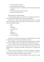 Prakses atskaite 'A/s "Latvijas Unibanka"', 71.