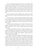 Prakses atskaite 'A/s "Latvijas Unibanka"', 82.