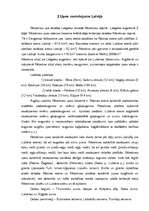 Referāts 'Rēzeknes upe', 5.