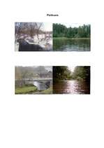 Referāts 'Rēzeknes upe', 15.