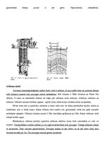 Konspekts 'Inženierģeoloģijas eksāmena jautājumi', 27.