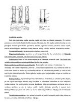 Konspekts 'Inženierģeoloģijas eksāmena jautājumi', 28.