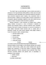 Referāts 'SIA "Latvija Statoil" tiešo konkurentu noteikšana un metodes cīņā ar tiem', 4.