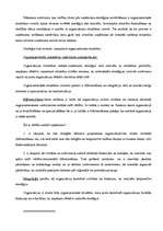 Konspekts 'Vadīšanas funkcijas. Organizēšanas būtība. Organizācijas struktūras veidošana', 3.