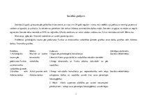 Konspekts 'Motivācijas plāns', 1.