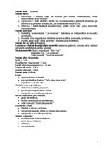 Konspekts 'Mūzikas stunda 6.klasei par tēmu "Karnevāls"', 1.