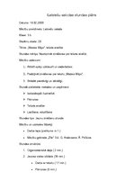 Konspekts 'Latviešu valodas stundas plāns', 1.