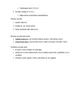 Konspekts 'Latviešu valodas stundas plāns', 2.