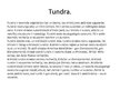 Prezentācija 'Tundra', 1.