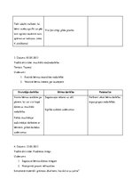 Prakses atskaite 'Prakses atskaite', 7.