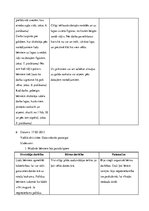 Prakses atskaite 'Prakses atskaite', 9.