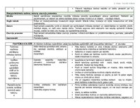 Konspekts 'Tematiskais plāns', 2.