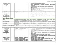 Konspekts 'Tematiskais plāns', 6.