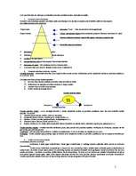 Konspekts 'Krimināltiesības', 5.