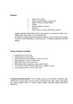 Konspekts 'Sporta un fizisku vingrinājumu veids', 2.