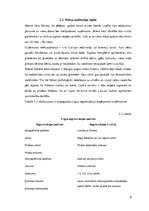 Biznesa plāns 'Atpūtas kompleksa "Miera osta" izveide', 6.