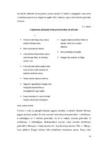 Biznesa plāns 'Atpūtas kompleksa "Miera osta" izveide', 10.