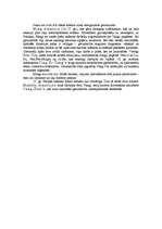 Referāts 'Glezniecība Ķīnā', 7.