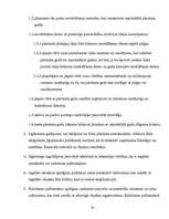 Prakses atskaite 'Grāmatvedības organizācija uzņēmumā', 24.