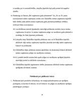 Prakses atskaite 'Grāmatvedības organizācija uzņēmumā', 29.