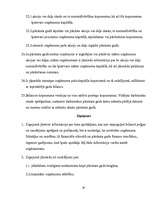 Prakses atskaite 'Grāmatvedības organizācija uzņēmumā', 33.