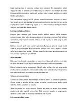 Konspekts 'A. Pumpura eposa “Lāčplēsis” analīze', 6.