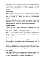 Konspekts 'A. Pumpura eposa “Lāčplēsis” analīze', 8.