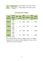 Biznesa plāns 'SIA "Fotogear"', 21.