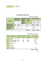 Biznesa plāns 'SIA "Fotogear"', 23.